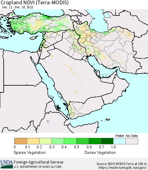 Middle East and Turkey Cropland NDVI (Terra-MODIS) Thematic Map For 12/11/2022 - 12/20/2022