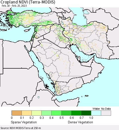 Middle East and Turkey Cropland NDVI (Terra-MODIS) Thematic Map For 2/18/2023 - 2/25/2023