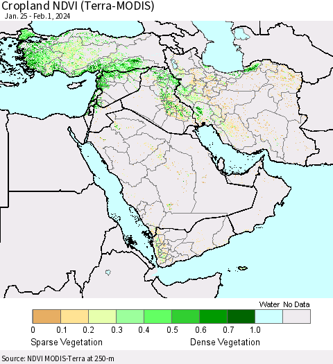 Middle East and Turkey Cropland NDVI (Terra-MODIS) Thematic Map For 1/25/2024 - 2/1/2024