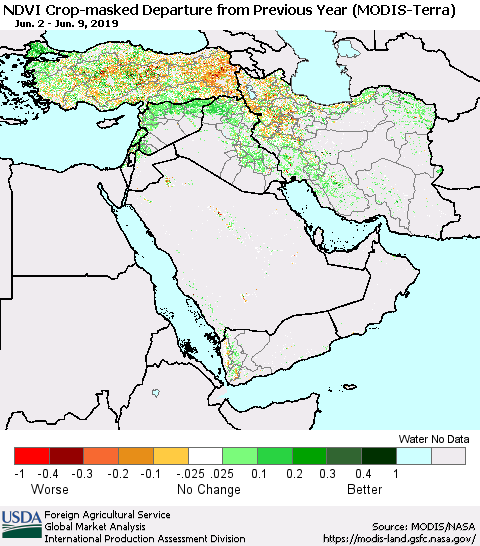 Middle East and Turkey Cropland NDVI Departure from Previous Year (Terra-MODIS) Thematic Map For 6/1/2019 - 6/10/2019