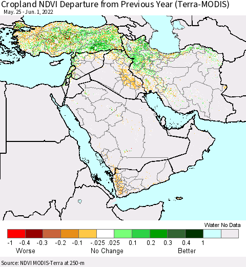 Middle East and Turkey Cropland NDVI Departure from Previous Year (Terra-MODIS) Thematic Map For 5/25/2022 - 6/1/2022