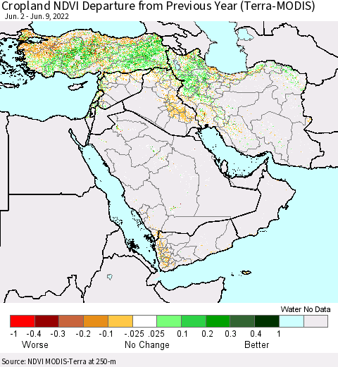 Middle East and Turkey Cropland NDVI Departure from Previous Year (Terra-MODIS) Thematic Map For 6/2/2022 - 6/9/2022