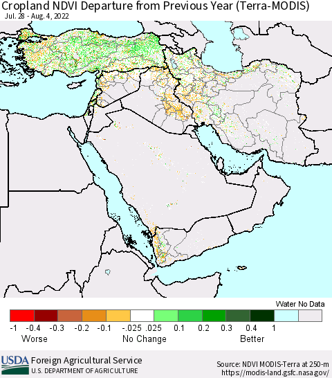 Middle East and Turkey Cropland NDVI Departure from Previous Year (Terra-MODIS) Thematic Map For 8/1/2022 - 8/10/2022