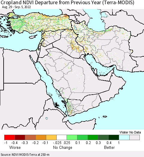 Middle East and Turkey Cropland NDVI Departure from Previous Year (Terra-MODIS) Thematic Map For 8/29/2022 - 9/5/2022