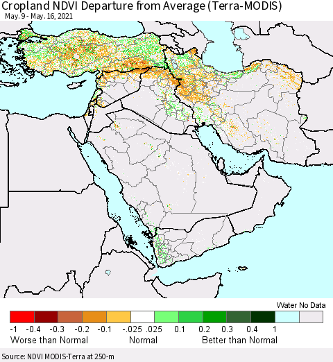 Middle East and Turkey Cropland NDVI Departure from Average (Terra-MODIS) Thematic Map For 5/9/2021 - 5/16/2021