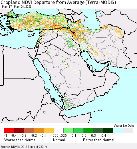 Middle East and Turkey Cropland NDVI Departure from Average (Terra-MODIS) Thematic Map For 5/17/2021 - 5/24/2021