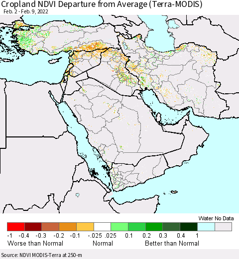 Middle East and Turkey Cropland NDVI Departure from Average (Terra-MODIS) Thematic Map For 2/2/2022 - 2/9/2022