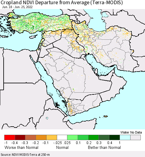 Middle East and Turkey Cropland NDVI Departure from Average (Terra-MODIS) Thematic Map For 6/18/2022 - 6/25/2022