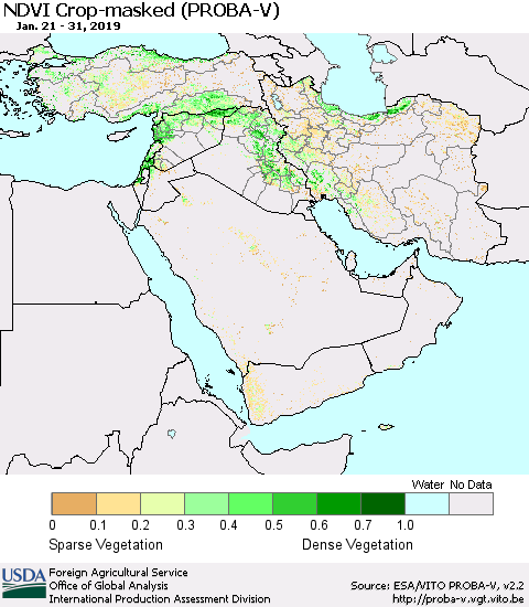 Middle East and Turkey NDVI Crop-masked (PROBA-V) Thematic Map For 1/21/2019 - 1/31/2019