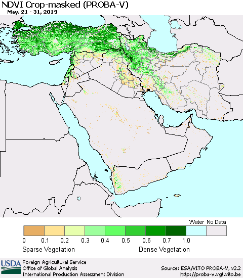 Middle East and Turkey NDVI Crop-masked (PROBA-V) Thematic Map For 5/21/2019 - 5/31/2019