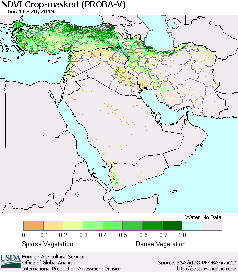 Middle East and Turkey NDVI Crop-masked (PROBA-V) Thematic Map For 6/11/2019 - 6/20/2019