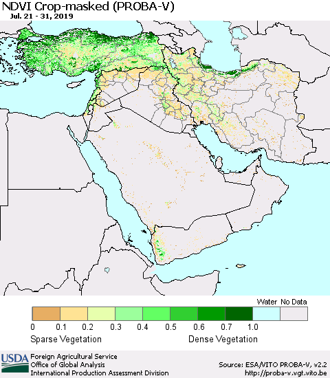 Middle East and Turkey NDVI Crop-masked (PROBA-V) Thematic Map For 7/21/2019 - 7/31/2019