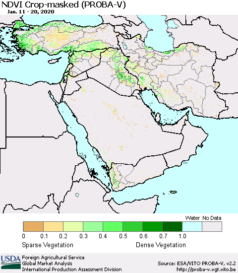 Middle East and Turkey NDVI Crop-masked (PROBA-V) Thematic Map For 1/11/2020 - 1/20/2020