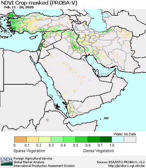 Middle East and Turkey NDVI Crop-masked (PROBA-V) Thematic Map For 2/11/2020 - 2/20/2020