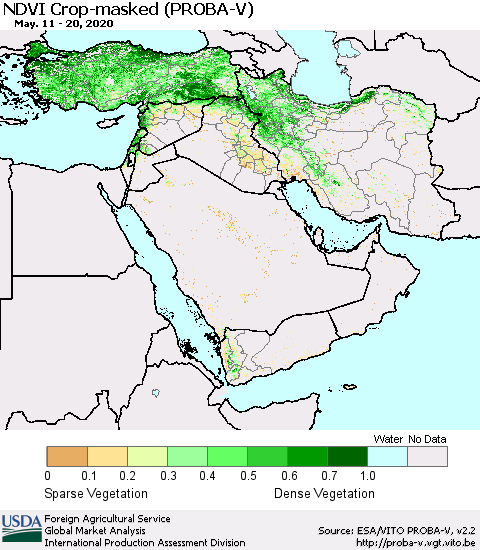 Middle East and Turkey NDVI Crop-masked (PROBA-V) Thematic Map For 5/11/2020 - 5/20/2020