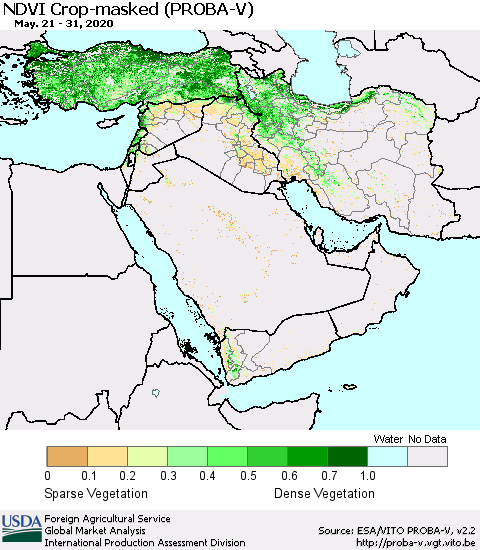 Middle East and Turkey NDVI Crop-masked (PROBA-V) Thematic Map For 5/21/2020 - 5/31/2020