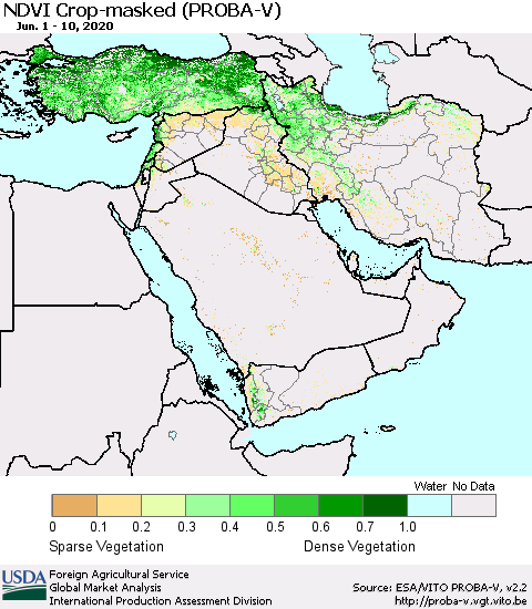 Middle East and Turkey NDVI Crop-masked (PROBA-V) Thematic Map For 6/1/2020 - 6/10/2020