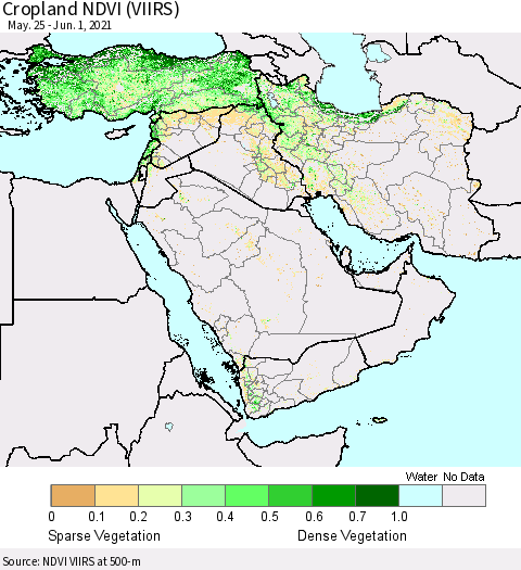 Middle East and Turkey Cropland NDVI (VIIRS) Thematic Map For 5/25/2021 - 6/1/2021