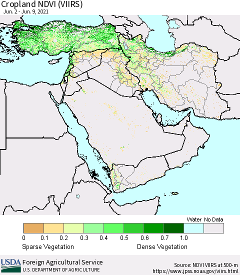 Middle East and Turkey Cropland NDVI (VIIRS) Thematic Map For 6/1/2021 - 6/10/2021