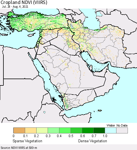 Middle East and Turkey Cropland NDVI (VIIRS) Thematic Map For 7/28/2021 - 8/4/2021