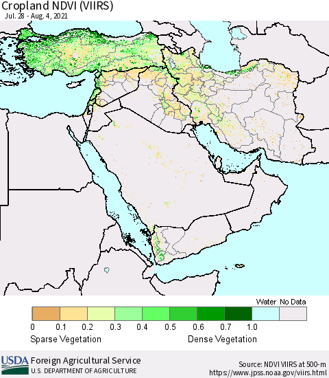 Middle East and Turkey Cropland NDVI (VIIRS) Thematic Map For 8/1/2021 - 8/10/2021
