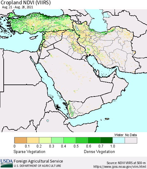 Middle East and Turkey Cropland NDVI (VIIRS) Thematic Map For 8/21/2021 - 8/31/2021