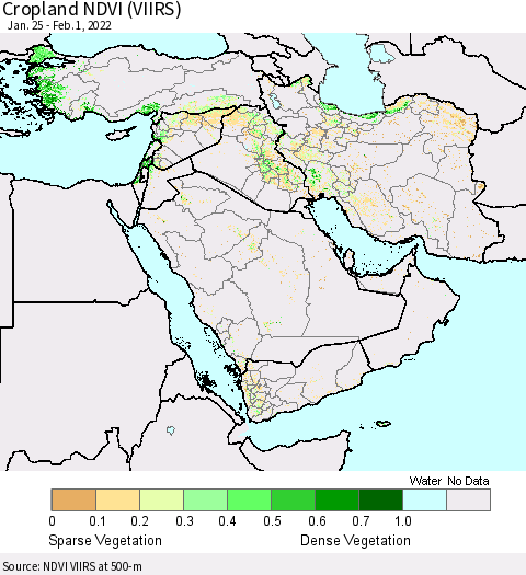 Middle East and Turkey Cropland NDVI (VIIRS) Thematic Map For 1/25/2022 - 2/1/2022