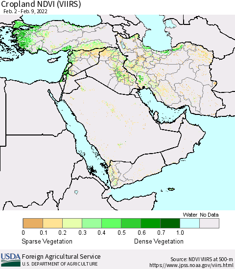 Middle East and Turkey Cropland NDVI (VIIRS) Thematic Map For 2/1/2022 - 2/10/2022