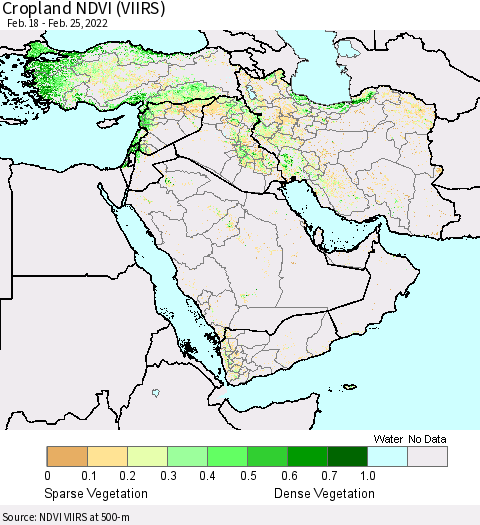 Middle East and Turkey Cropland NDVI (VIIRS) Thematic Map For 2/18/2022 - 2/25/2022