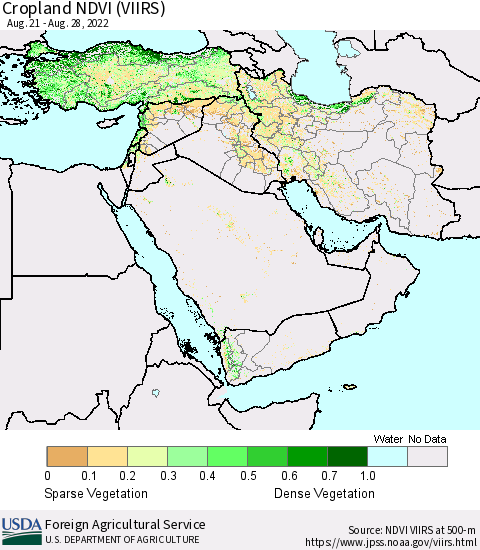 Middle East and Turkey Cropland NDVI (VIIRS) Thematic Map For 8/21/2022 - 8/31/2022