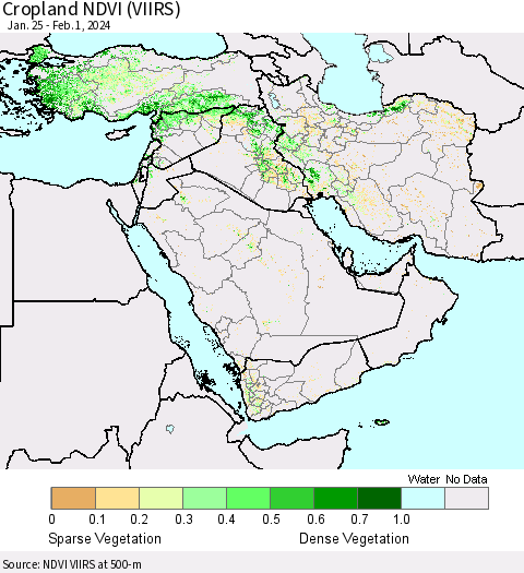 Middle East and Turkey Cropland NDVI (VIIRS) Thematic Map For 1/25/2024 - 2/1/2024