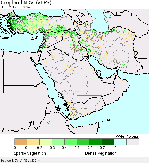Middle East and Turkey Cropland NDVI (VIIRS) Thematic Map For 2/2/2024 - 2/9/2024