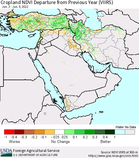 Middle East and Turkey Cropland NDVI Departure from Previous Year (VIIRS) Thematic Map For 6/1/2022 - 6/10/2022