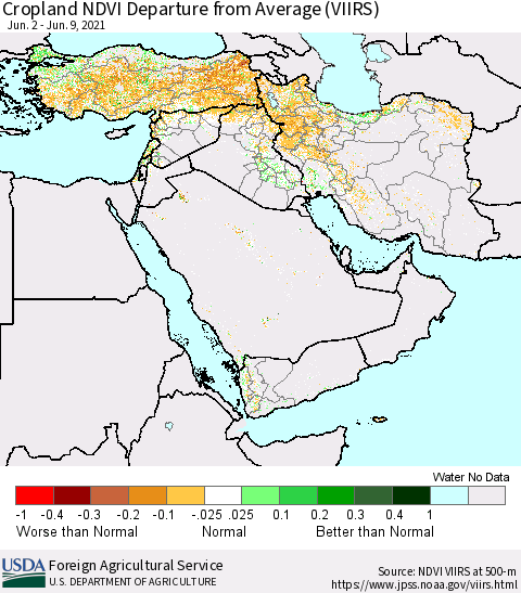 Middle East and Turkey Cropland NDVI Departure from Average (VIIRS) Thematic Map For 6/1/2021 - 6/10/2021