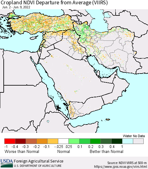 Middle East and Turkey Cropland NDVI Departure from Average (VIIRS) Thematic Map For 6/1/2022 - 6/10/2022
