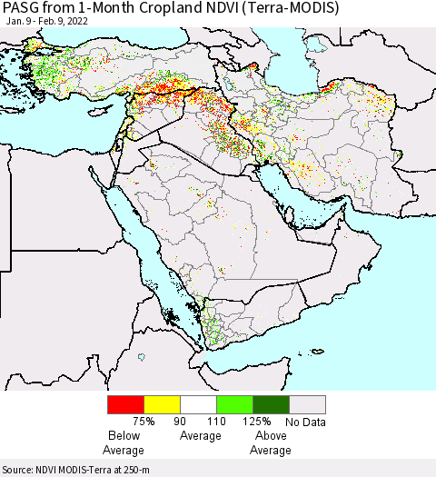 Middle East and Turkey PASG from 1-Month Cropland NDVI (Terra-MODIS) Thematic Map For 2/2/2022 - 2/9/2022