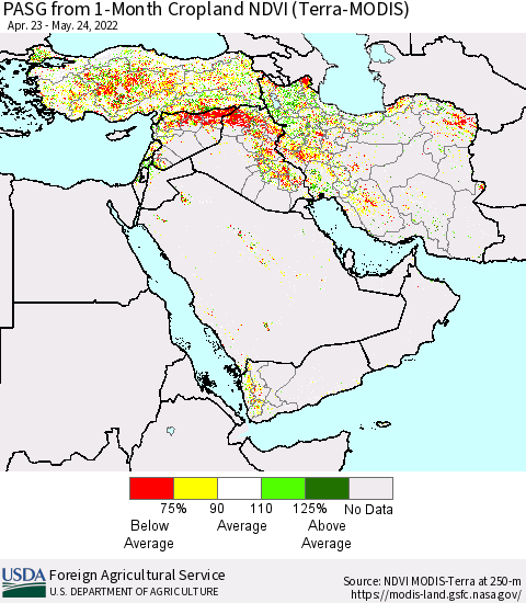 Middle East and Turkey PASG from 1-Month Cropland NDVI (Terra-MODIS) Thematic Map For 5/21/2022 - 5/31/2022