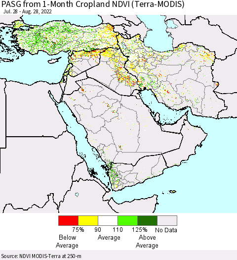 Middle East and Turkey PASG from 1-Month Cropland NDVI (Terra-MODIS) Thematic Map For 8/21/2022 - 8/28/2022