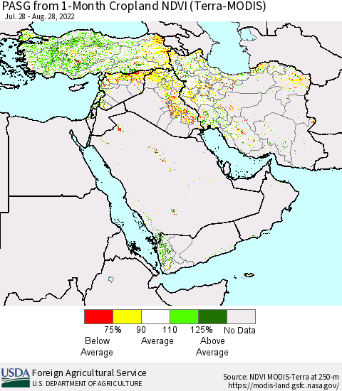 Middle East and Turkey PASG from 1-Month Cropland NDVI (Terra-MODIS) Thematic Map For 8/21/2022 - 8/31/2022