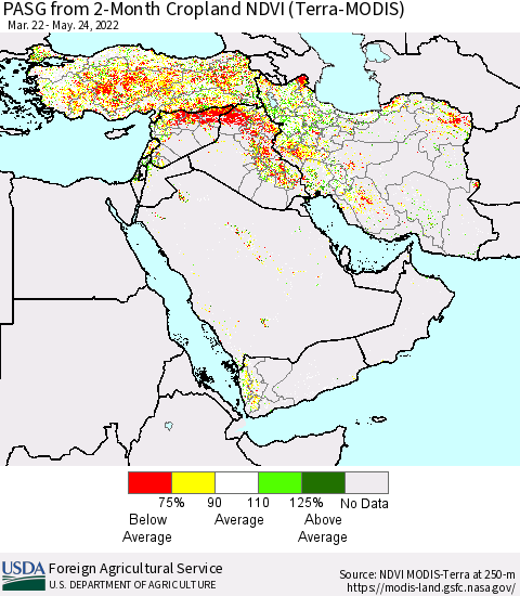 Middle East and Turkey PASG from 2-Month Cropland NDVI (Terra-MODIS) Thematic Map For 5/21/2022 - 5/31/2022