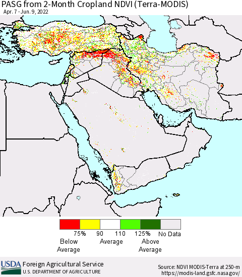 Middle East and Turkey PASG from 2-Month Cropland NDVI (Terra-MODIS) Thematic Map For 6/1/2022 - 6/10/2022