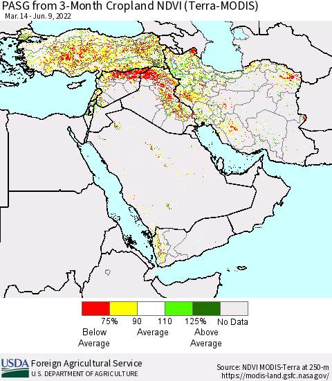 Middle East and Turkey PASG from 3-Month Cropland NDVI (Terra-MODIS) Thematic Map For 6/1/2022 - 6/10/2022