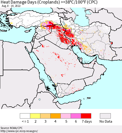 Middle East and Turkey Heat Damage Days (Croplands) >=38°C/100°F (CPC) Thematic Map For 8/8/2022 - 8/14/2022