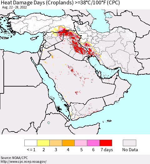 Middle East and Turkey Heat Damage Days (Croplands) >=38°C/100°F (CPC) Thematic Map For 8/22/2022 - 8/28/2022