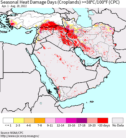 Middle East and Turkey Seasonal Heat Damage Days (Croplands) >=38°C/100°F (CPC) Thematic Map For 4/1/2022 - 8/20/2022