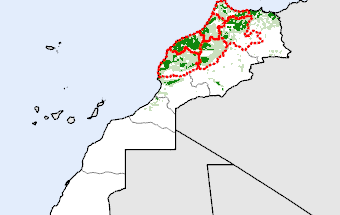 Morocco