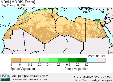 North Africa NDVI (Terra-MODIS) Thematic Map For 8/21/2019 - 8/31/2019