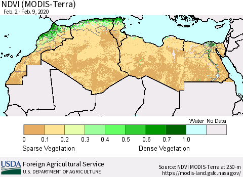 North Africa NDVI (Terra-MODIS) Thematic Map For 2/1/2020 - 2/10/2020