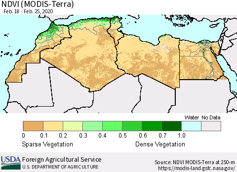 North Africa NDVI (Terra-MODIS) Thematic Map For 2/21/2020 - 2/29/2020