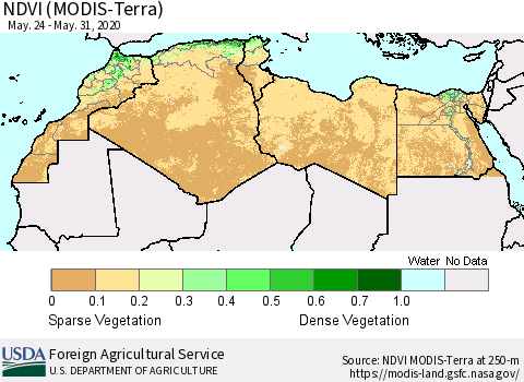 North Africa NDVI (Terra-MODIS) Thematic Map For 5/21/2020 - 5/31/2020